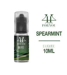 E-liquide Chewing-gum menthe SPEARMINT 4YOU