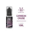 E-liquide Rhum, Ananas et Crème de Coco CARIBBEAN CRUISE 4YOU